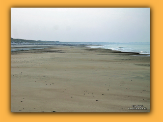 Am Strand von Nymindegab (4).jpg